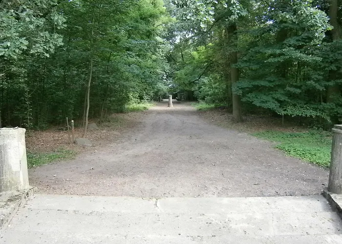 House Деревянный коттедж *